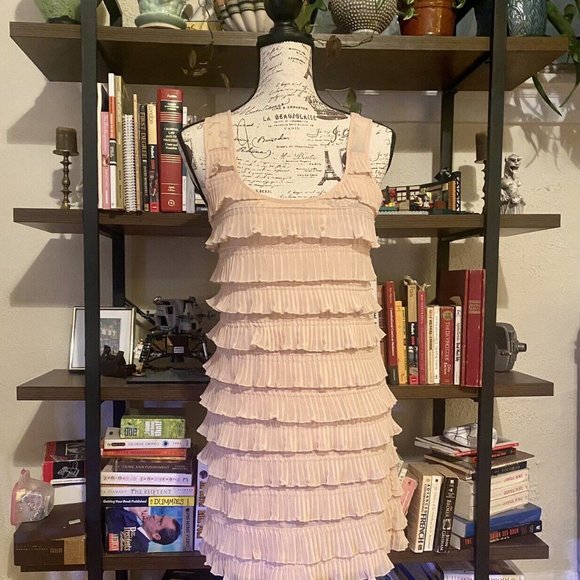 Retro Blush-Colored H&M 1920s Flapper-Style Dress - Picture 5 of 6